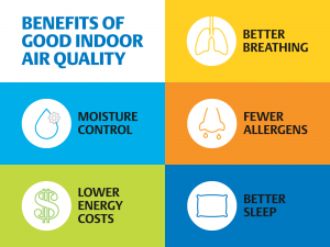 Breathing Wellness: How Indoor Hygenics Ensures Your Indoor Air is Pure